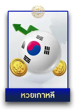 หวย6
